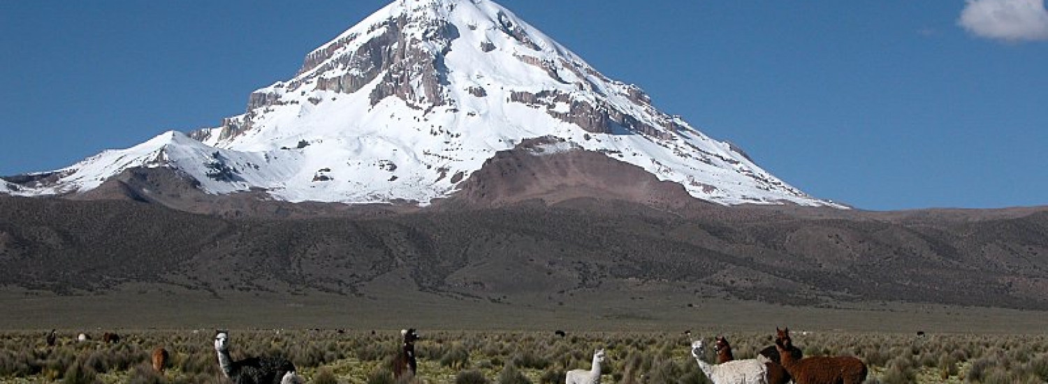 OB-LPB/31 3 Days and 2 Nights Tour, Sajama Trekking