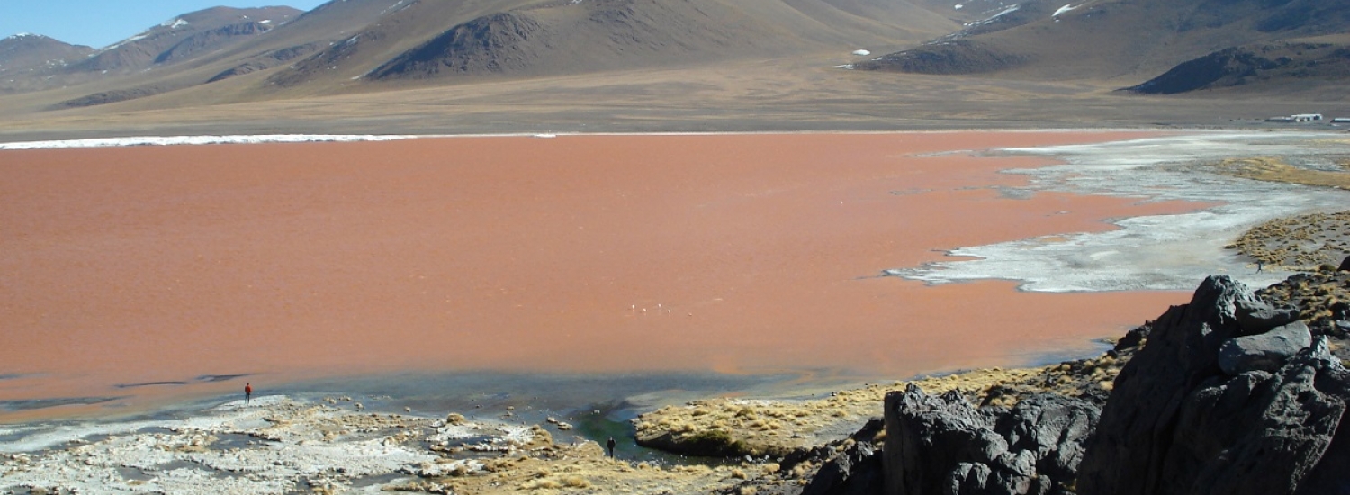 OB-UYU/11 4 days and 3 nights Tour Uyuni Salt Flats - Thunupa Volcano - color Lagoons, returning to Uyuni *Transfer to San Pedro de Atacama (Optional)
