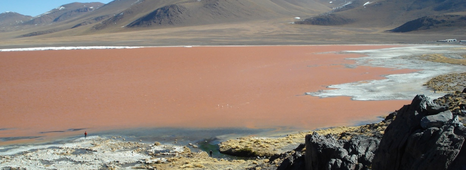 OB-UYU/11 Tour de 4 Días y 3 Noches Salar De Uyuni - Volcán Thunupa - Lagunas de Colores con Retorno a Uyuni *Transfer a San Pedro de Atacama (Opcional)