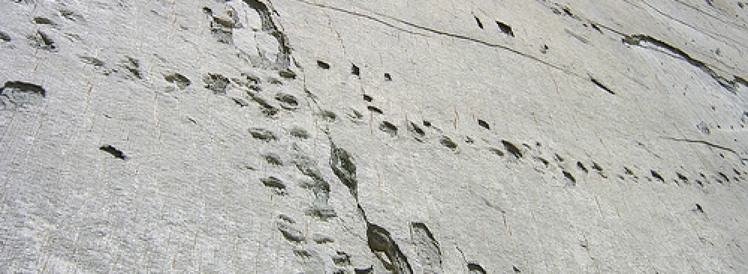 OB-SRE/8 Cretaceous Park, Dinosaurs Footprints Cal Orck’o