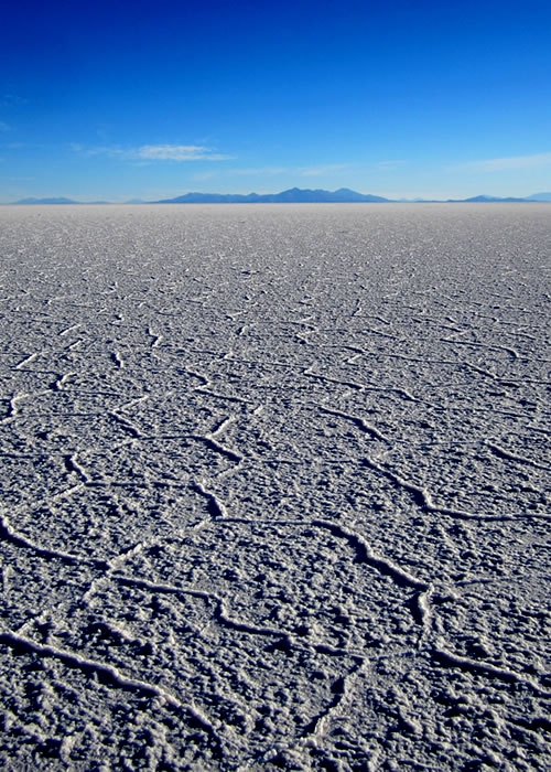 Oasis Bolivia