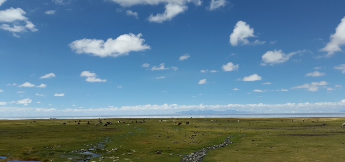 TOURS IN UYUNI (English)