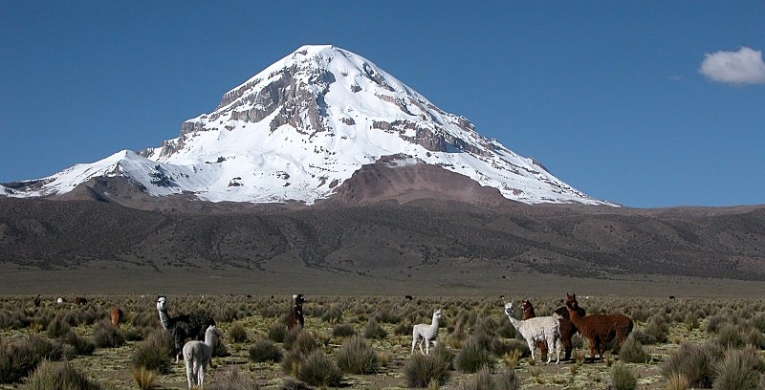 OB-LPB/31 3 Days and 2 Nights Tour, Sajama Trekking