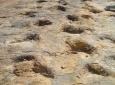 Sucre - Maragua - Foot Prints from Niñu Mayu