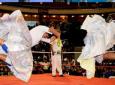 Cholitas Wresting, Fighter (Sunday and Thursday)