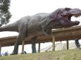 Cretaceous Park, Dinosaurs Footprints Cal Orck’o