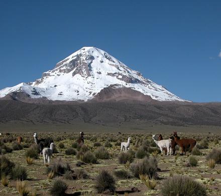 3 Days and 2 Nights Tour, Sajama Trekking