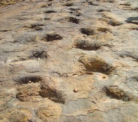 Sucre  - Maragua - Huellas De Dinosaurio de Niñumayu