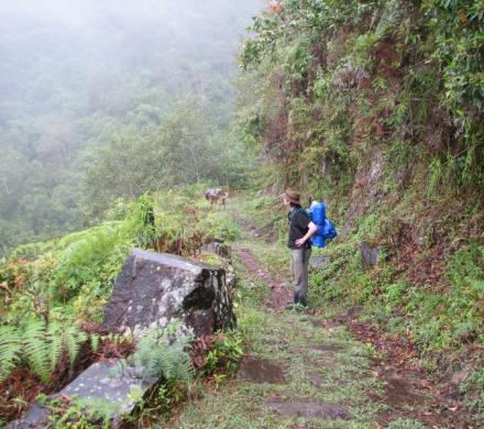 2 Days and 1 Night Tour, Camino Del Choro