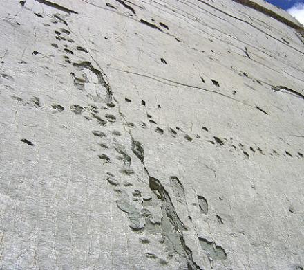 City Tour Día Completo