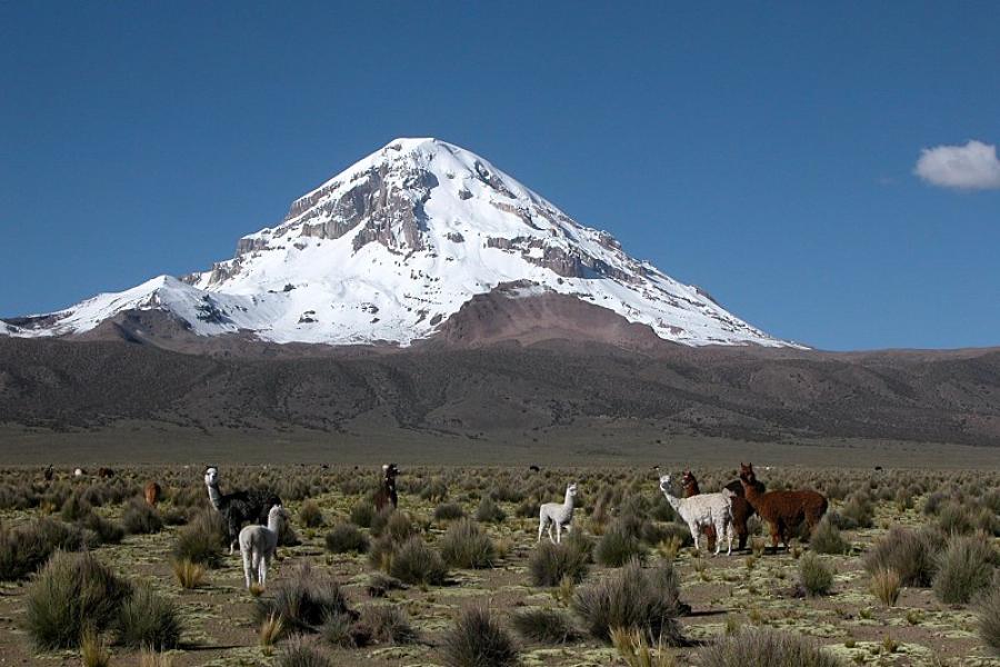 3 Days and 2 Nights Tour, Sajama Trekking