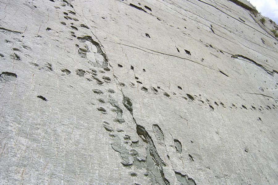 City Tour Día Completo