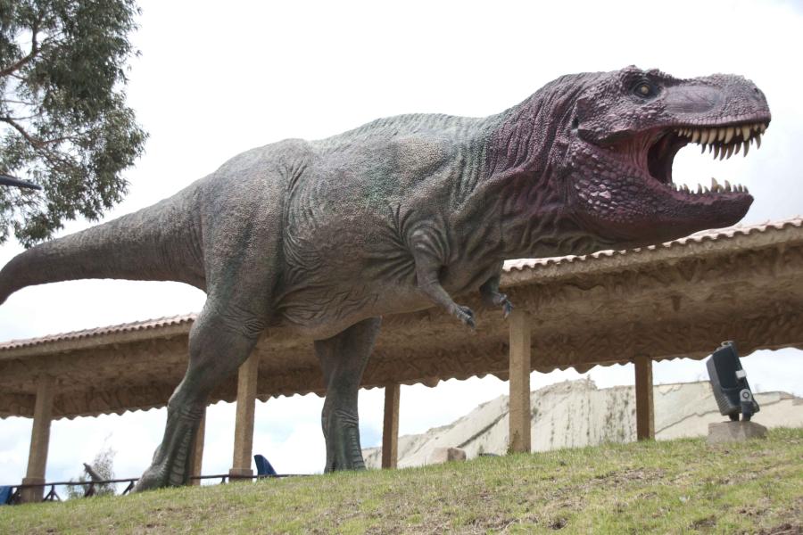 Parque Cretácico, Huellas de Dinosaurios Cal Orck'o
